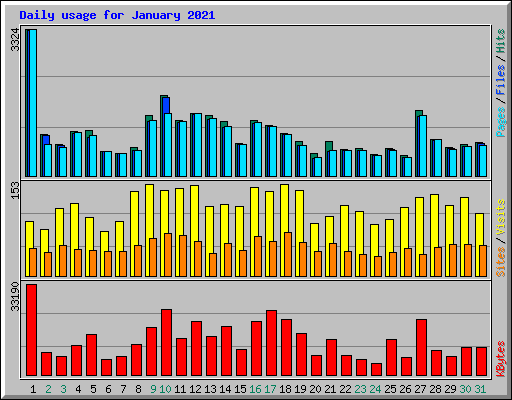 Daily usage for January 2021
