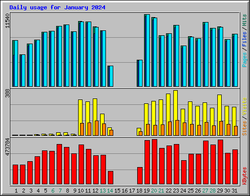 Daily usage for January 2024