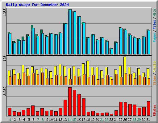 Daily usage for December 2024