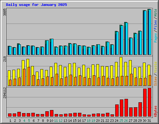 Daily usage for January 2025