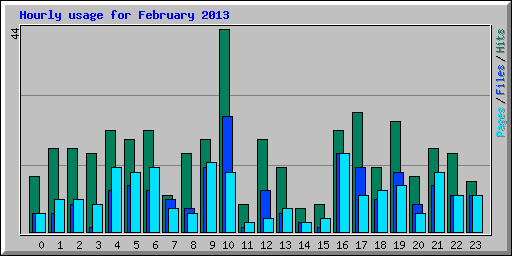 Hourly usage for February 2013