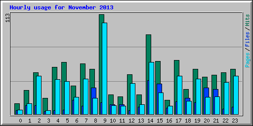 Hourly usage for November 2013