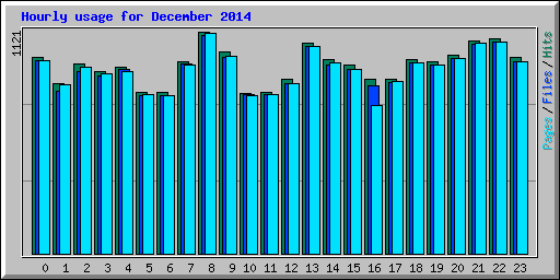 Hourly usage for December 2014