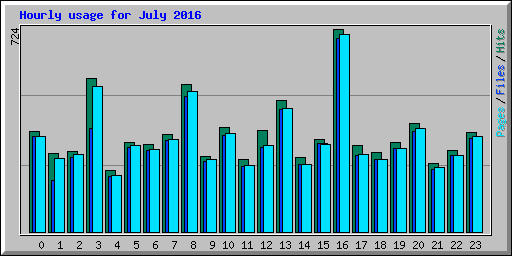 Hourly usage for July 2016