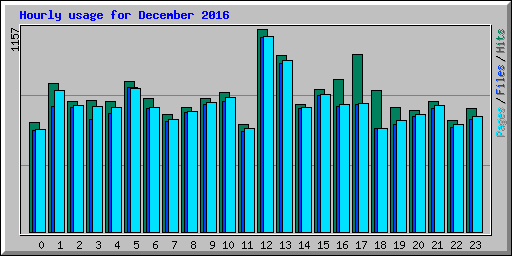 Hourly usage for December 2016