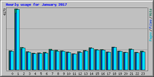 Hourly usage for January 2017