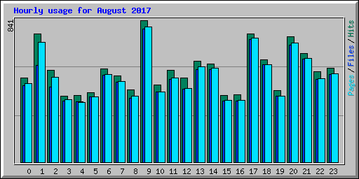 Hourly usage for August 2017