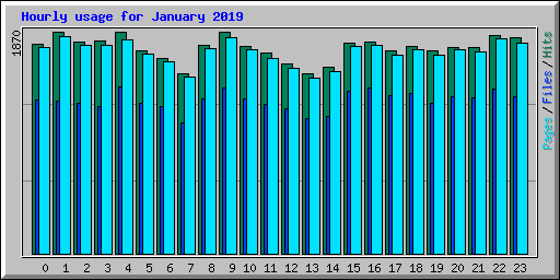 Hourly usage for January 2019