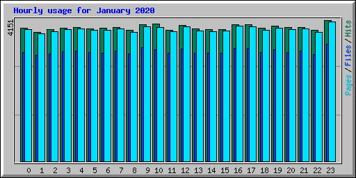 Hourly usage for January 2020