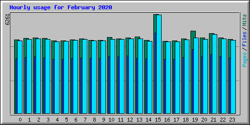 Hourly usage for February 2020