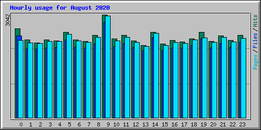 Hourly usage for August 2020
