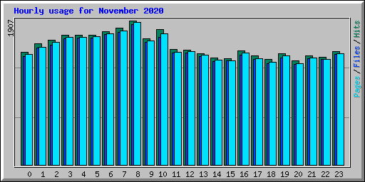 Hourly usage for November 2020