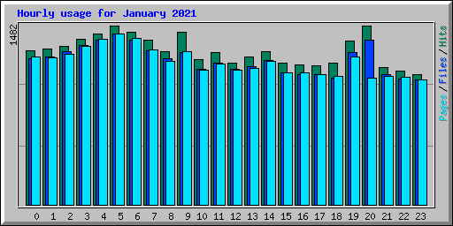 Hourly usage for January 2021