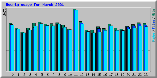 Hourly usage for March 2021