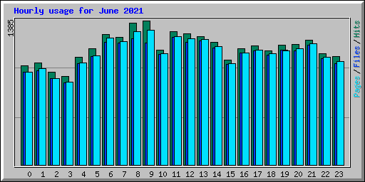 Hourly usage for June 2021