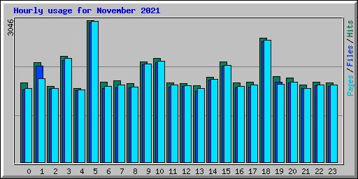 Hourly usage for November 2021