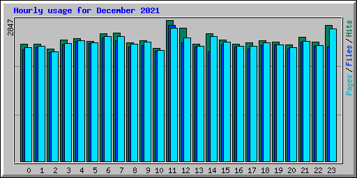 Hourly usage for December 2021