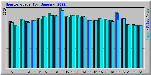 Hourly usage for January 2022