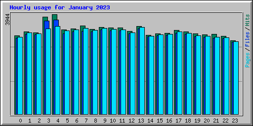 Hourly usage for January 2023