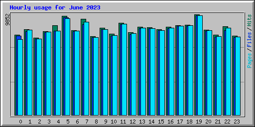 Hourly usage for June 2023