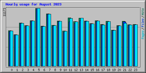 Hourly usage for August 2023