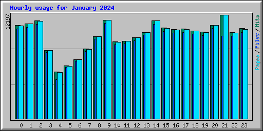 Hourly usage for January 2024