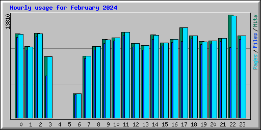 Hourly usage for February 2024