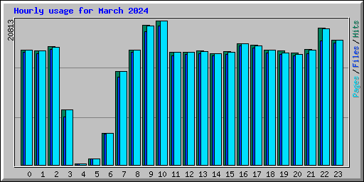 Hourly usage for March 2024