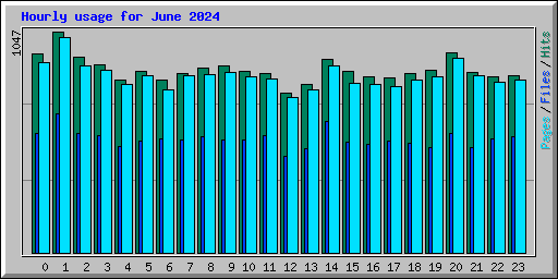 Hourly usage for June 2024