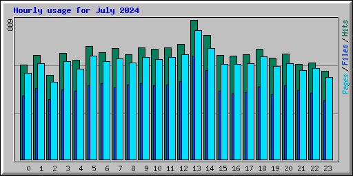 Hourly usage for July 2024