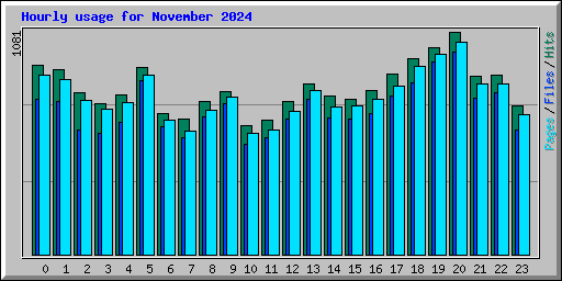 Hourly usage for November 2024