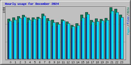 Hourly usage for December 2024