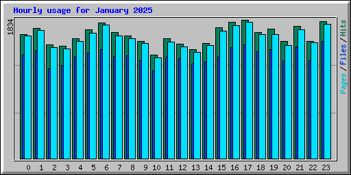 Hourly usage for January 2025