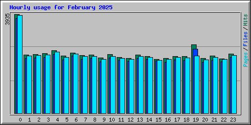 Hourly usage for February 2025