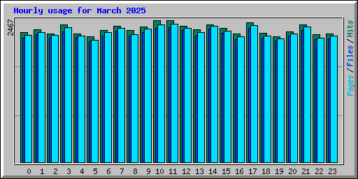 Hourly usage for March 2025